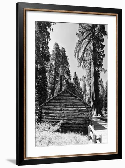 Sequoia - Mariposa Grove Museum - Yosemite National Park - Californie - United States-Philippe Hugonnard-Framed Photographic Print