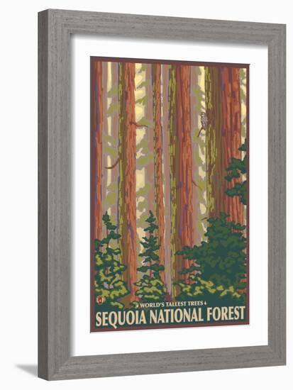 Sequoia National Forest, CA Redwood Trees-Lantern Press-Framed Art Print