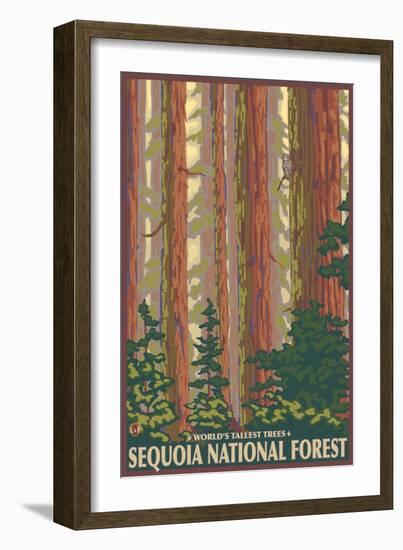 Sequoia National Forest, CA Redwood Trees-Lantern Press-Framed Art Print