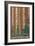 Sequoia National Forest, CA Redwood Trees-Lantern Press-Framed Art Print