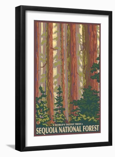 Sequoia National Forest, CA Redwood Trees-Lantern Press-Framed Art Print