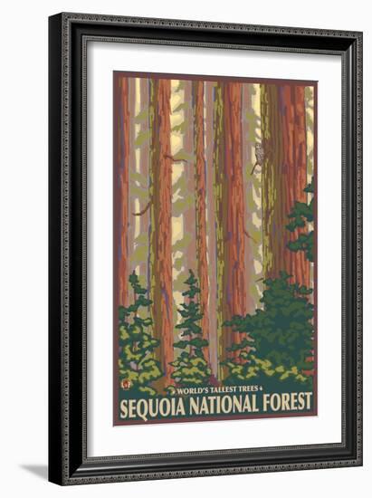 Sequoia National Forest, CA Redwood Trees-Lantern Press-Framed Art Print