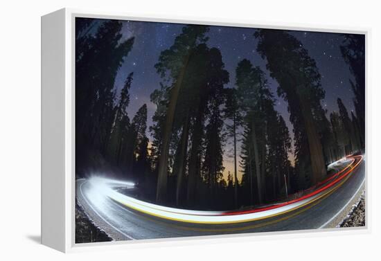 Sequoia National Park at Night-Jon Hicks-Framed Premier Image Canvas