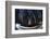 Sequoia National Park at Night-Jon Hicks-Framed Photographic Print