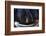 Sequoia National Park at Night-Jon Hicks-Framed Photographic Print