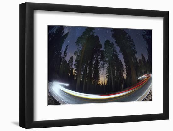 Sequoia National Park at Night-Jon Hicks-Framed Photographic Print