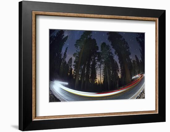 Sequoia National Park at Night-Jon Hicks-Framed Photographic Print