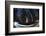 Sequoia National Park at Night-Jon Hicks-Framed Photographic Print