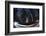 Sequoia National Park at Night-Jon Hicks-Framed Photographic Print