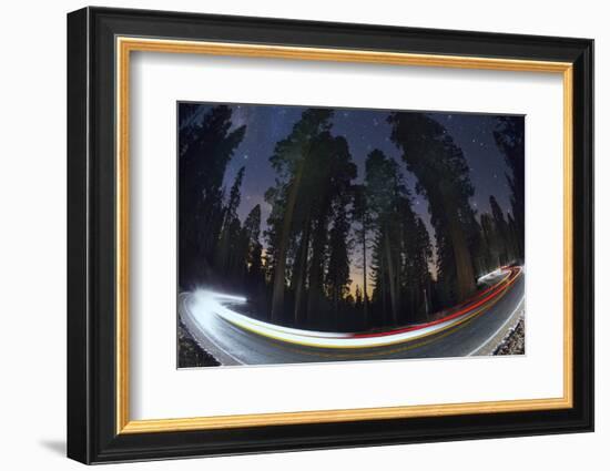 Sequoia National Park at Night-Jon Hicks-Framed Photographic Print