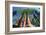 Sequoia National Park I-null-Framed Art Print