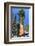 Sequoia National Park II-null-Framed Art Print