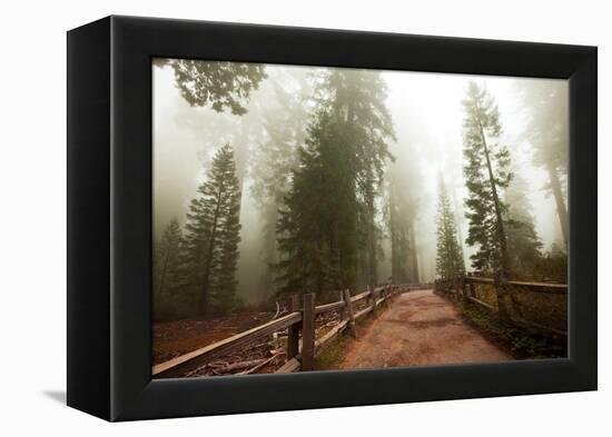 Sequoia National Park in USA-Andrushko Galyna-Framed Premier Image Canvas