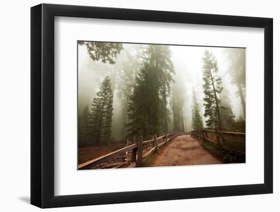 Sequoia National Park in USA-Andrushko Galyna-Framed Photographic Print