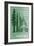 Sequoia National Park - Redwood Relative Sizes-Lantern Press-Framed Premium Giclee Print