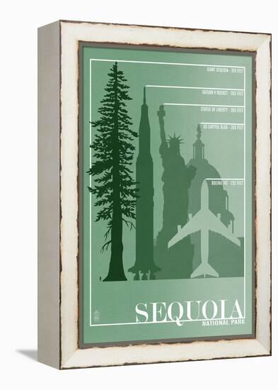 Sequoia National Park - Redwood Relative Sizes-Lantern Press-Framed Stretched Canvas