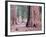 Sequoia Trees 1-NaxArt-Framed Art Print