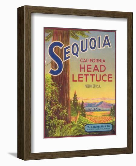 Sequoia Vegetable Label - Watsonville, CA-Lantern Press-Framed Art Print