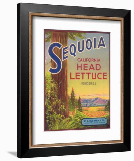 Sequoia Vegetable Label - Watsonville, CA-Lantern Press-Framed Art Print