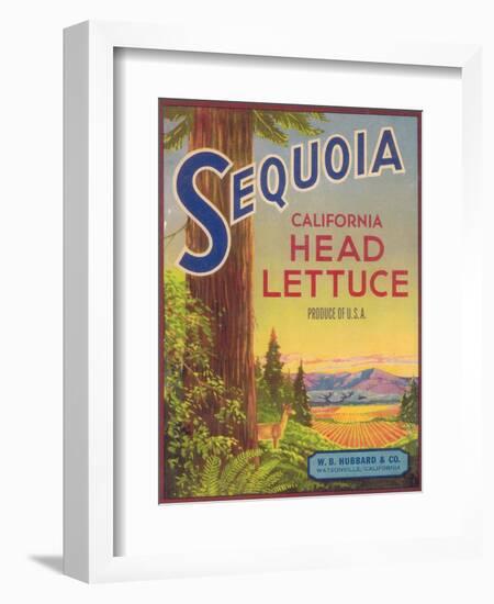 Sequoia Vegetable Label - Watsonville, CA-Lantern Press-Framed Art Print