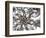 Seraphim copy-Fractalicious-Framed Giclee Print