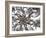 Seraphim copy-Fractalicious-Framed Giclee Print