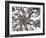 Seraphim copy-Fractalicious-Framed Giclee Print