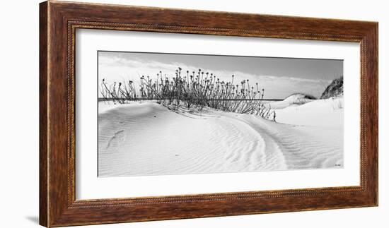 Serebe Shorline-Eve Turek-Framed Art Print