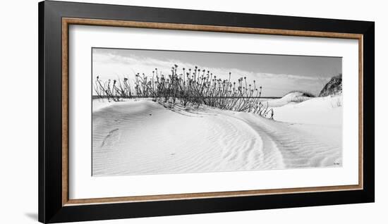 Serebe Shorline-Eve Turek-Framed Art Print