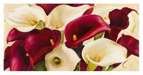 Calla moderna II-Serena Biffi-Art Print