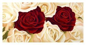 Rose Composition II-Serena Biffi-Art Print