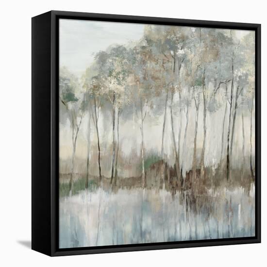 Serenade of Stillness-Allison Pearce-Framed Stretched Canvas