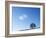 Serendipity-Doug Chinnery-Framed Photographic Print