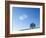 Serendipity-Doug Chinnery-Framed Photographic Print