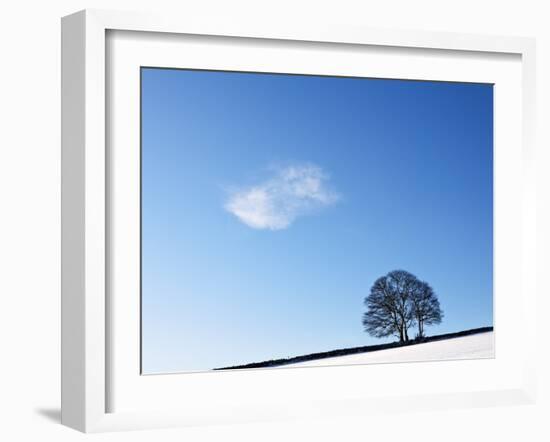 Serendipity-Doug Chinnery-Framed Photographic Print