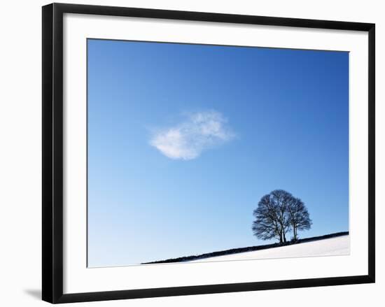 Serendipity-Doug Chinnery-Framed Photographic Print