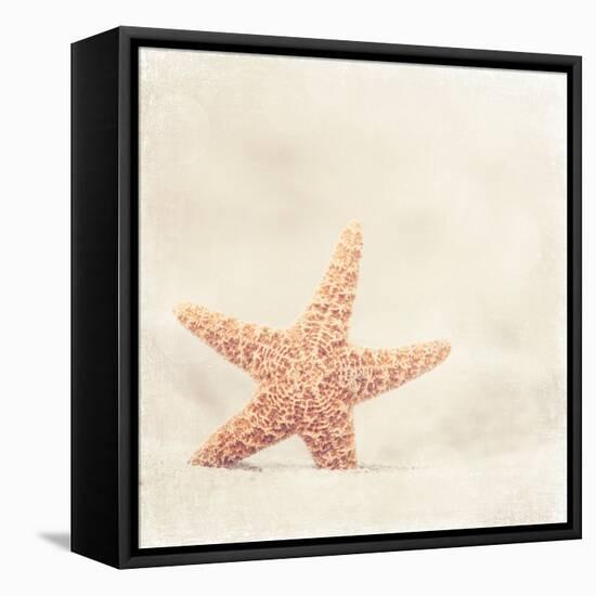 Serendipity-Carolyn Cochrane-Framed Stretched Canvas