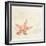 Serendipity-Carolyn Cochrane-Framed Photographic Print