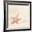 Serendipity-Carolyn Cochrane-Framed Photographic Print