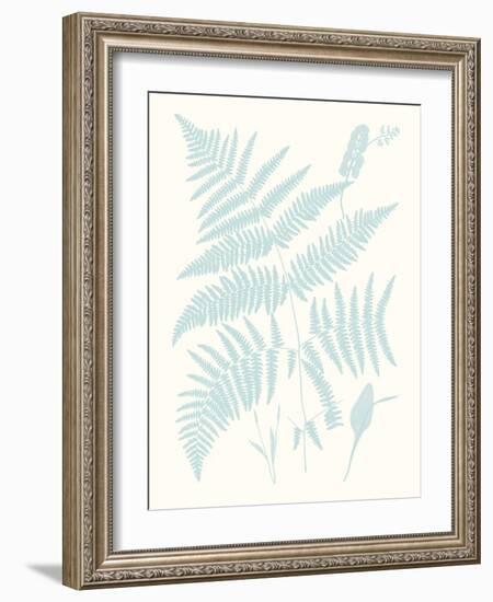 Serene Ferns I-Vision Studio-Framed Art Print