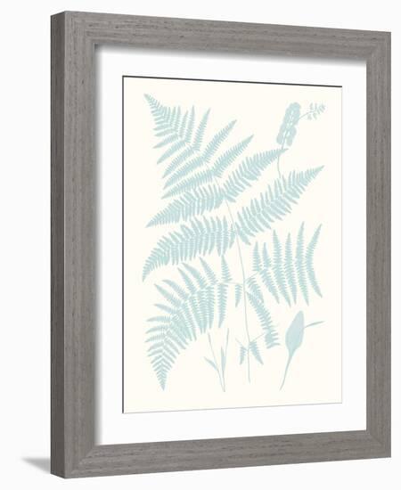 Serene Ferns I-Vision Studio-Framed Art Print