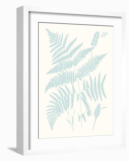 Serene Ferns I-Vision Studio-Framed Art Print