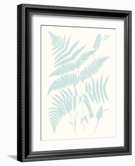 Serene Ferns I-Vision Studio-Framed Art Print