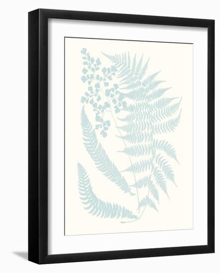 Serene Ferns II-Vision Studio-Framed Art Print