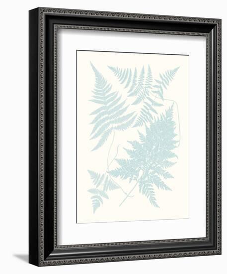 Serene Ferns IV-Vision Studio-Framed Art Print