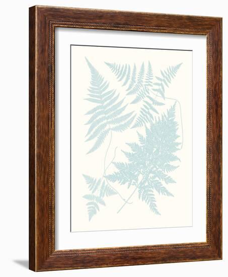 Serene Ferns IV-Vision Studio-Framed Art Print