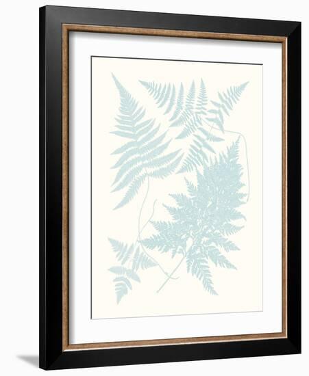 Serene Ferns IV-Vision Studio-Framed Art Print