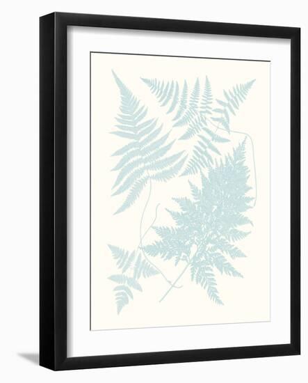 Serene Ferns IV-Vision Studio-Framed Art Print