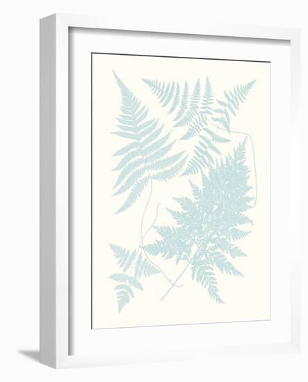 Serene Ferns IV-Vision Studio-Framed Art Print