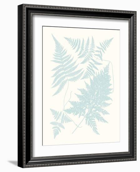 Serene Ferns IV-Vision Studio-Framed Art Print